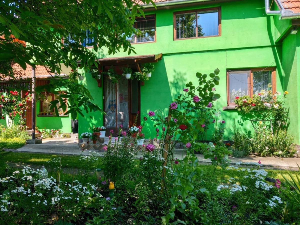 Csergo Ildiko Vendeghaz Otel Lăzarea Dış mekan fotoğraf