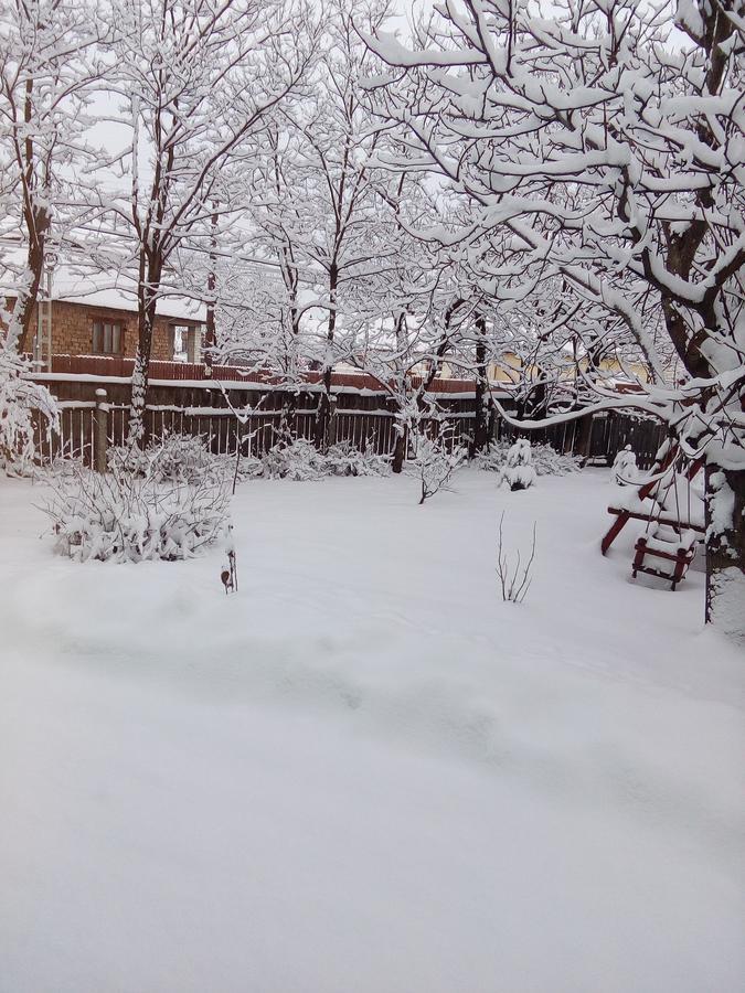 Csergo Ildiko Vendeghaz Otel Lăzarea Dış mekan fotoğraf
